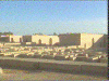 Image16_small.gif (8060 bytes)